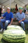largest watermelons.jpg